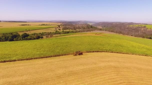 Vista Aérea Del Campo Cultivo Del Tractor — Vídeos de Stock