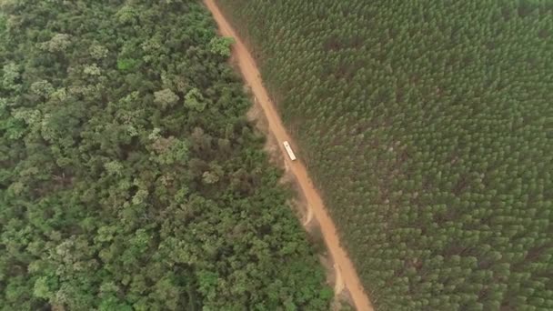 Vista Aérea Campo Cultivado — Vídeo de Stock