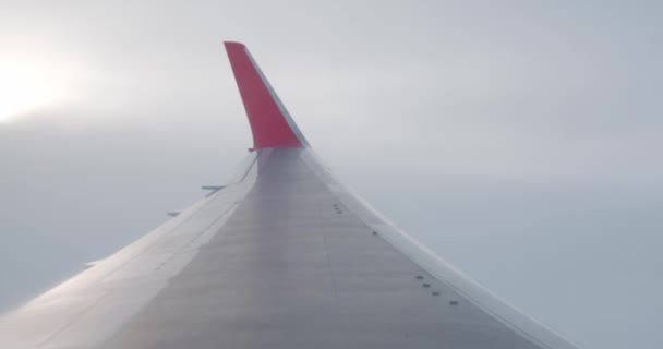 Landschaft Aus Dem Flugzeug Betrachtet — Stockvideo