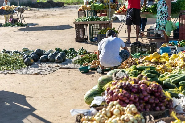 新鮮な野菜に囲まれた市場に座っている男 — ストック写真