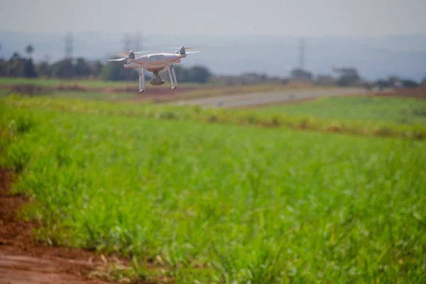 Drone Blanco Volando Sobre Campo Verde —  Fotos de Stock