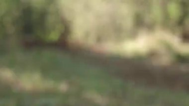 Dışarıda tokalaşan iki kişinin yakın görüntüsü