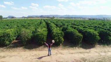 Çalı yetiştiren tarımsal alanda yürüyen bir kadın