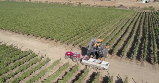 Aerial View Field Cultivating — Stock Video