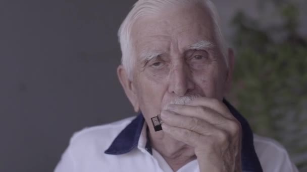 Közelkép Öregemberről Aki Harmonikázik — Stock videók