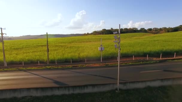 Traffico Attraverso Campo Coltivato Verde — Video Stock