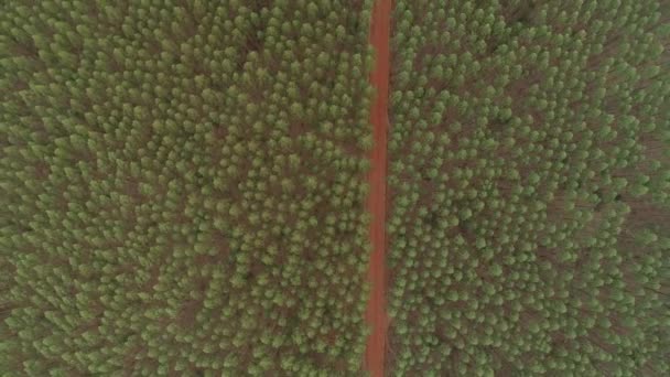 Tarım Alanının Havadan Görünüşü — Stok video