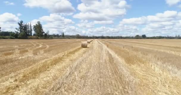 Сельскохозяйственное Поле Стогами Сена — стоковое видео