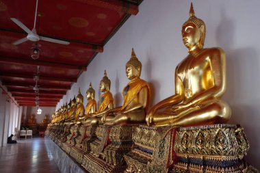 Lotus pozisyonunda duran altın renkli Buda heykelleri. Bir Budist manastırından heykeller..