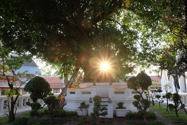 Pequeno Altar Budista Junto Uma Árvore Raios Sol Brilham Através — Fotografia de Stock