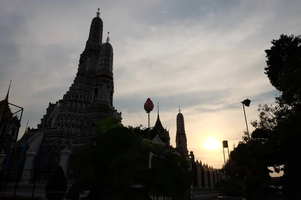 Lótuszvirág Wat Arun Templom Közelében Esténként — Stock Fotó