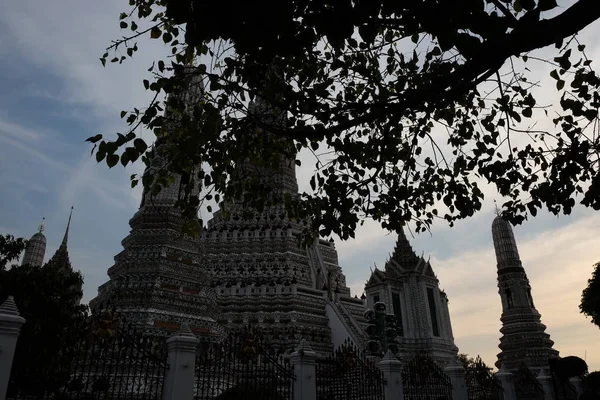 Buddhistický Chrám Wat Arun Vidět Větvemi Stromu — Stock fotografie
