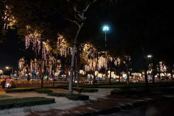 Bangkok Thailand Dez 2018 Bäume Mit Weihnachtslichtern Geschmückt Wachsen Nachts — Stockfoto