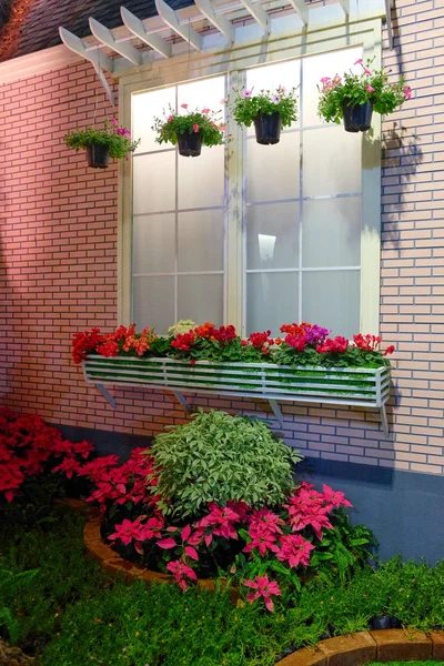 Flowers Grow Windowsill Cute House — Stock Photo, Image