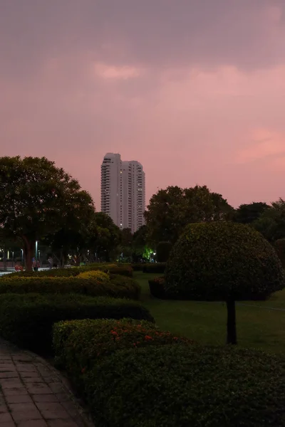 Bangkok Thailand December 2018 Prachtige Getrimde Struiken Bomen Een Stadspark — Stockfoto