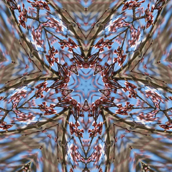 Abstracte Caleidoscoop Achtergrond Prachtige Multicolor Caleidoscoop Textuur Uniek Caleidoscoop Ontwerp — Stockfoto