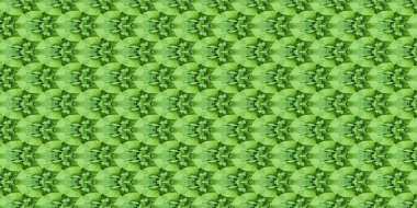 Ambalaj kağıdı, duvar kağıdı, tekstil ve yüzey tasarımı için eşsiz bir arkaplan. Yaratıcı, kusursuz desen. Kolaj.