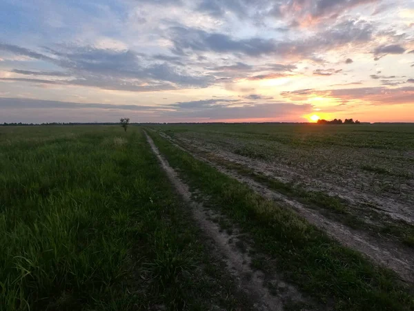 Schöne Bewölkte Sonnenuntergang Der Landschaft Feld Sonnenuntergang Auf Dem Land — Stockfoto