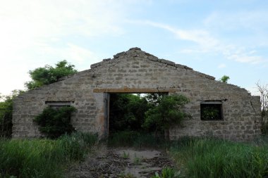 Terk edilmiş bir çiftlik hayvanı çiftliğinde. Aşırı gelişmiş yıkılmış bina.