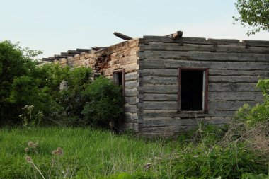 Ağaçların ve yeşil otların arasındaki eski yıkılmış binalar. Terk edilmiş binalar. Peyzaj.