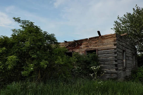 Antigos Edifícios Destruídos Entre Árvores Gramíneas Verdes Edifícios Abandonados Paisagem — Fotografia de Stock