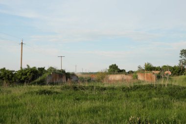 Terk edilmiş bir tarımsal tesisin arazisindeki beton kalıntılar. Çimenlerle kaplanmış harabeler. Peyzaj.
