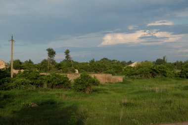 Terk edilmiş bir tarımsal tesisin arazisindeki beton kalıntılar. Çimenlerle kaplanmış harabeler. Peyzaj.