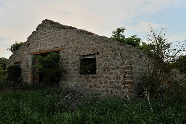 Remise Dans Une Ferme Élevage Abandonnée Immeuble Ruine Envahi — Photo