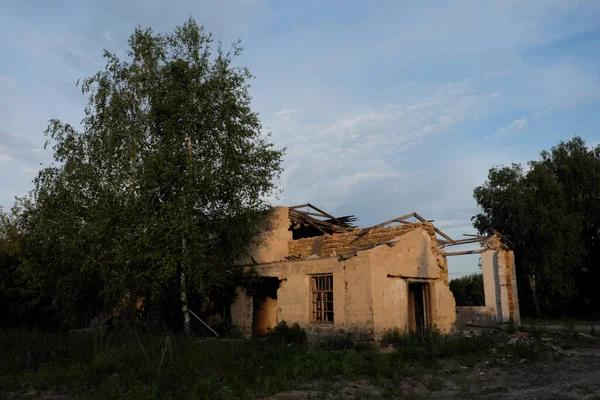 나무와 사이에 건물들 파괴되었다 버려진 건물들 — 스톡 사진