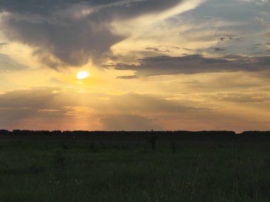 Tarlada güzel bir gün batımı. Bulutlu gökyüzü. Peyzaj.