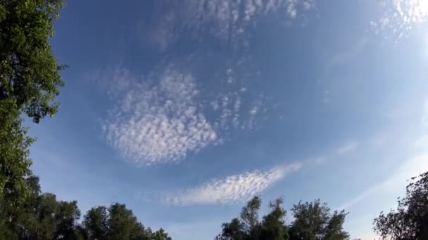 Nuvens Movem Através Céu Azul Árvores Acenam Vento Prazo Validade — Vídeo de Stock