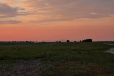 Tarlada güzel bir gün batımı. Bulutlu gökyüzü. Peyzaj.