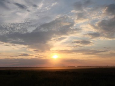 Güneş ufukta batıyor. Gün batımında gökyüzü arka planında ağaç siluetleri. Renkli bulutlar.