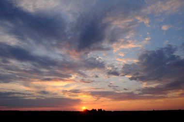 Güneş ufukta batıyor. Gün batımında gökyüzü arka planında ağaç siluetleri. Renkli bulutlar.