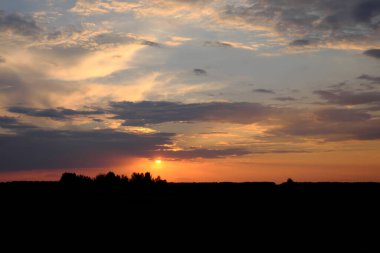 Güneş ufukta batıyor. Gün batımında gökyüzü arka planında ağaç siluetleri. Renkli bulutlar.