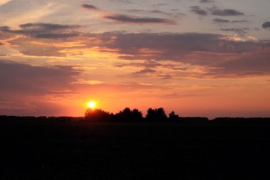Güneş ufukta batıyor. Gün batımında gökyüzü arka planında ağaç siluetleri. Renkli bulutlar.