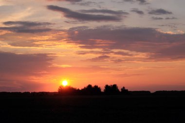 Güneş ufukta batıyor. Gün batımında gökyüzü arka planında ağaç siluetleri. Renkli bulutlar.