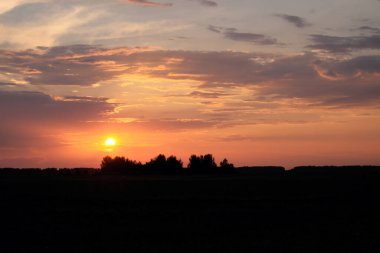 Güneş ufukta batıyor. Gün batımında gökyüzü arka planında ağaç siluetleri. Renkli bulutlar.