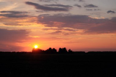 Güneş ufukta batıyor. Gün batımında gökyüzü arka planında ağaç siluetleri. Renkli bulutlar.