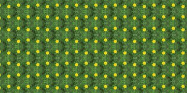 Ambalaj kağıdı, duvar kağıdı, tekstil ve yüzey tasarımı için eşsiz bir arkaplan. Yaratıcı, kusursuz desen. Kolaj.