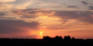 Güneş ufukta batıyor. Gün batımında gökyüzü arka planında ağaç siluetleri. Renkli bulutlar.