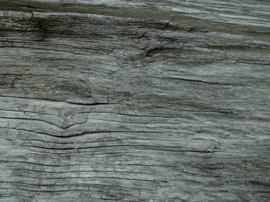 Arka plan olarak eski ahşap dokular. Kabataslak.