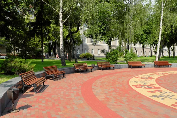 Скамейки Стоят Полукруге Городском Парке — стоковое фото