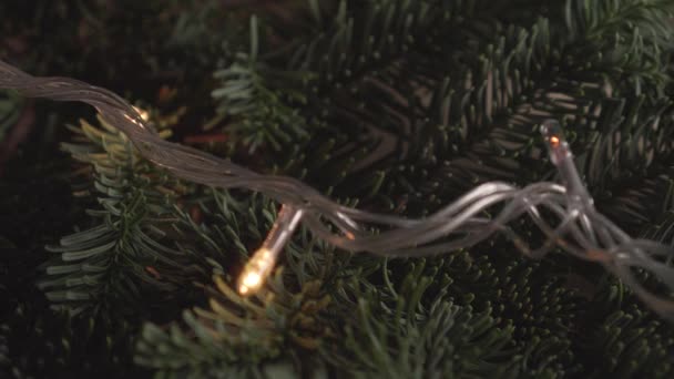 Noel Çelengi Yeşil Ladin Dalında Yanıp Sönüyor Yeni Yıl Arifesinde — Stok video