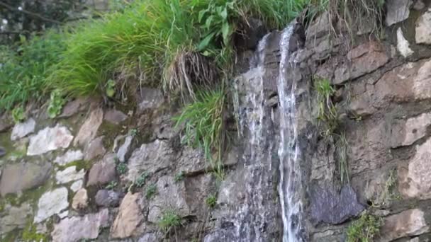 Небольшой Водопад Чистой Водой Грубыми Камнями Заросшими Растительностью Капля Воды — стоковое видео