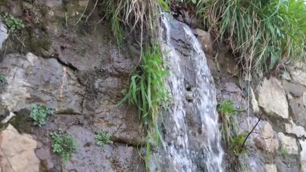 Вода Стекает Скалистой Скалы Травой Падает Медленное Движение — стоковое видео