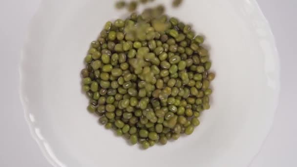 Groene Mungboon Gegoten Een Witte Plaat Close Macro Heeft Geschoten — Stockvideo