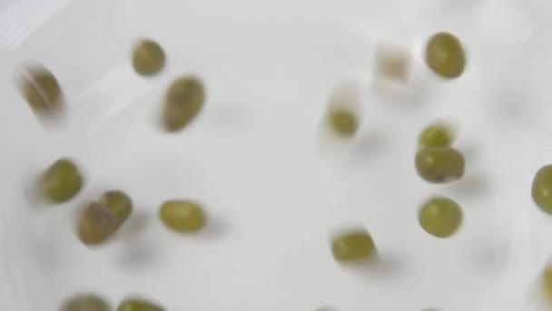 Grüne Mungbohnen Großaufnahme Auf Einen Weißen Teller Gegossen Makroschuss Zeitlupe — Stockvideo