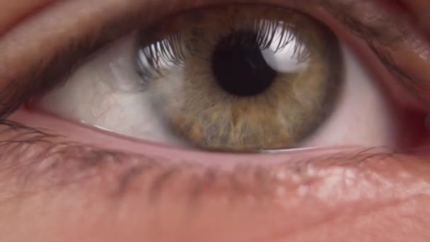 Eye Young Man Looking Active Movement Narrowing Dilated Pupil Close — Stock Video