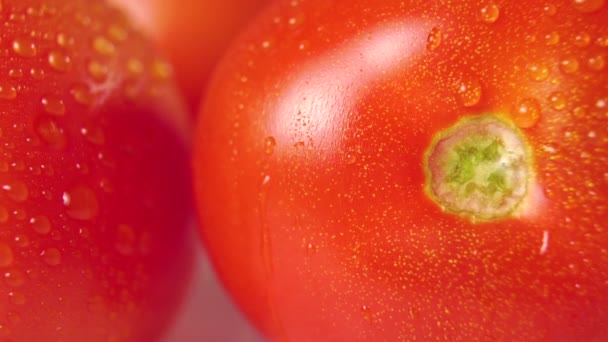 在超市购物后的洗浴和喷洒过程中 红色成熟的多汁西红柿和水滴 宏观射击 抗菌食品加工 病毒概念 — 图库视频影像